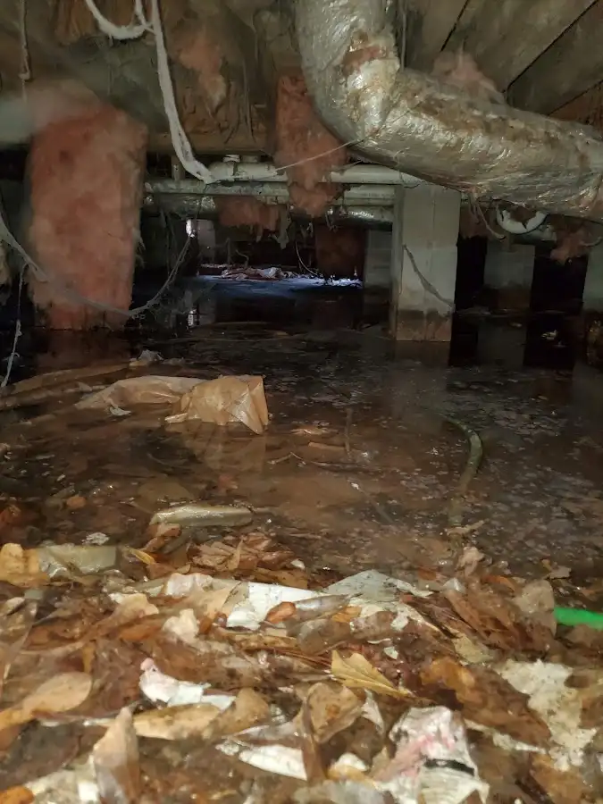 Crawl space flood assessment for Leak Detection & Repair in Grant-Valkaria